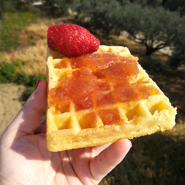 Σπιτική Μαρμελάδα Σύκο 500 gr