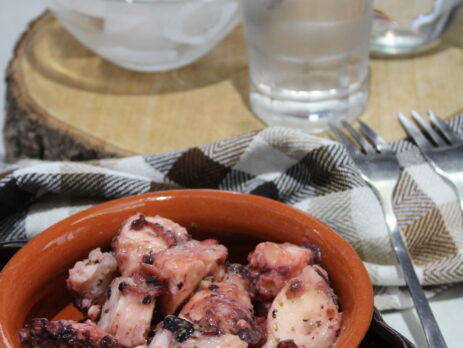 ΧΤΑΠΟΔΙ ΞΥΔΑΤΟ